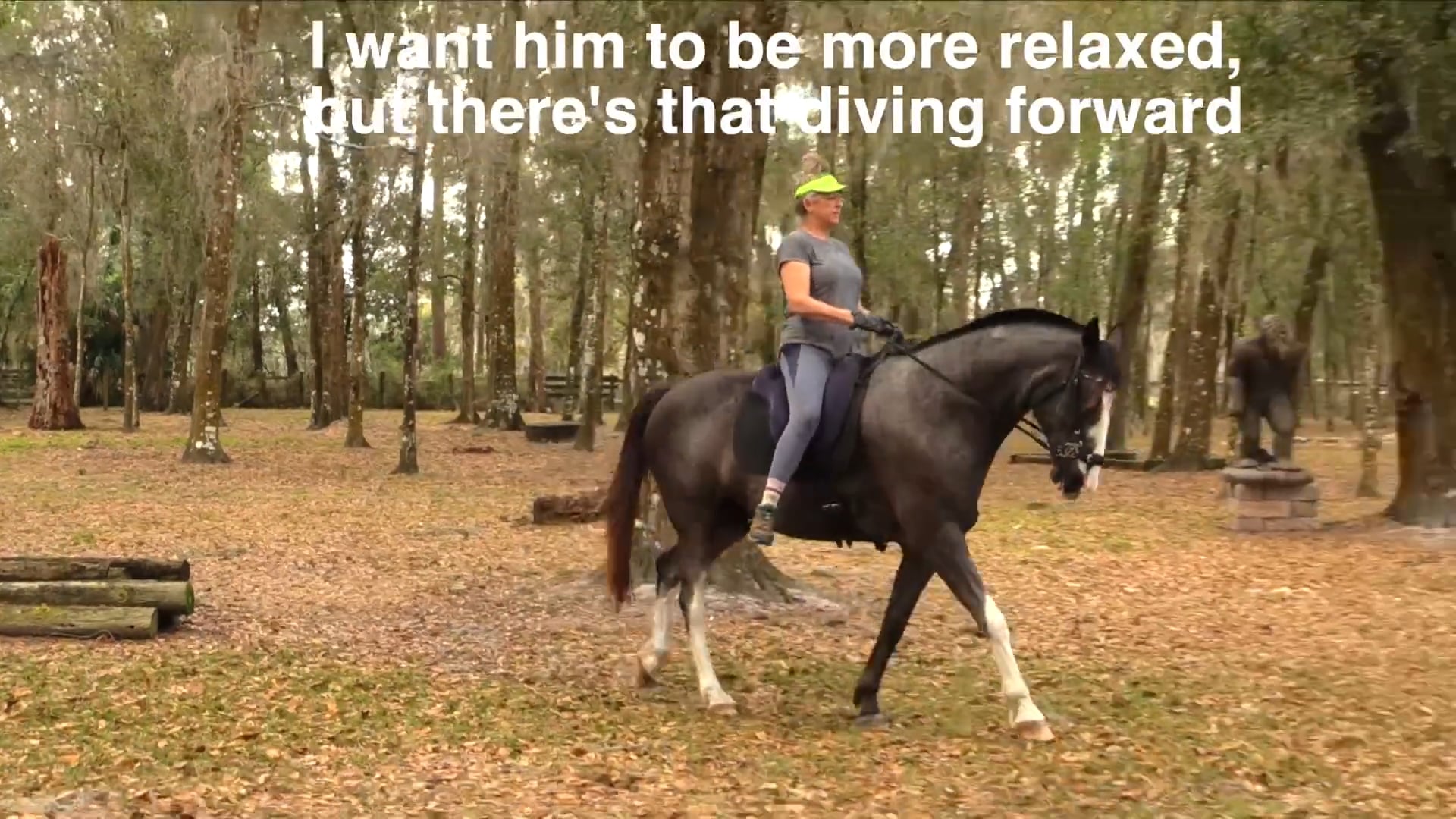 Helping an Impulsive Horse to Self-Regulate - March 2026