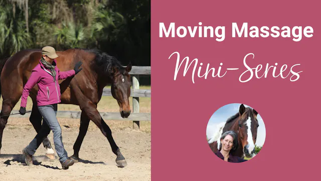 Moving Massage Mini-Series