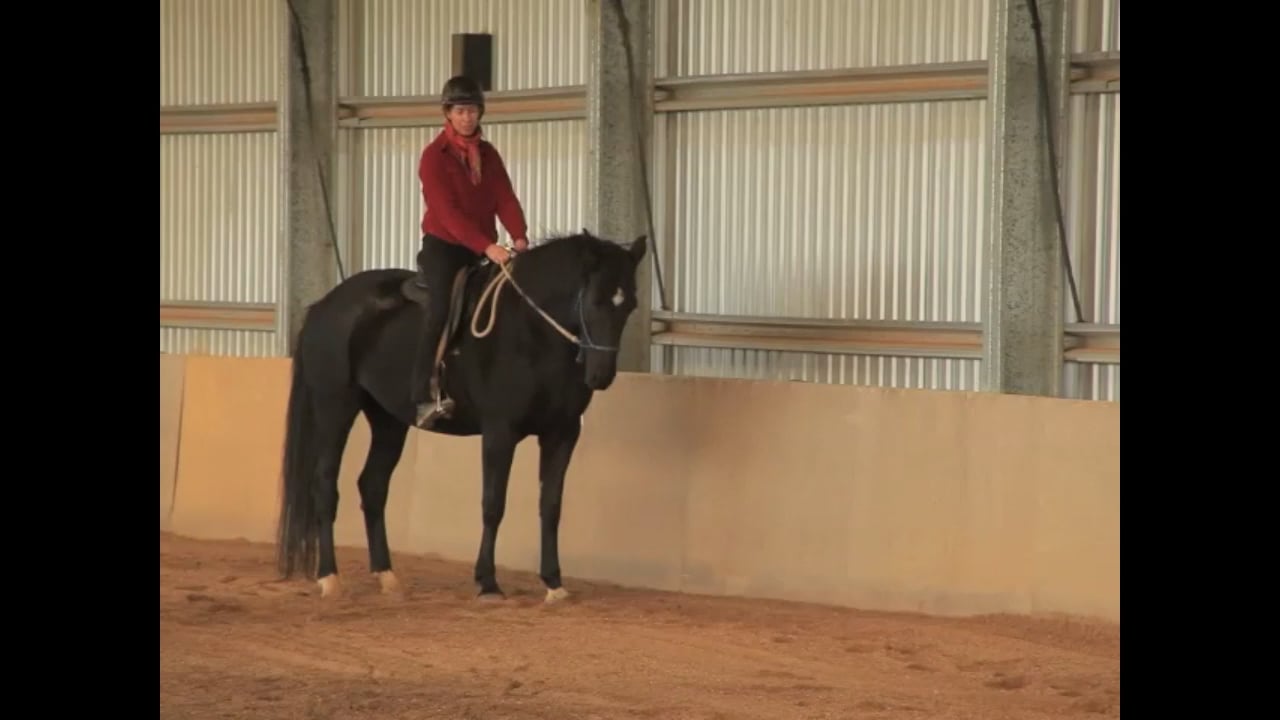 Beginning Lateral Positions - Nov 2010
