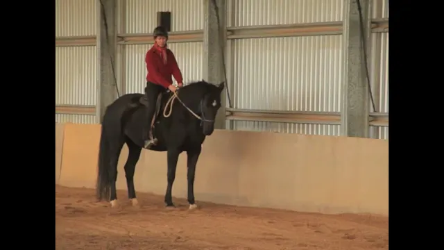Beginning Lateral Positions - Nov 2010