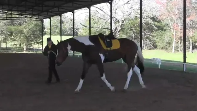 Increasing Elasticity in Trot On Line...