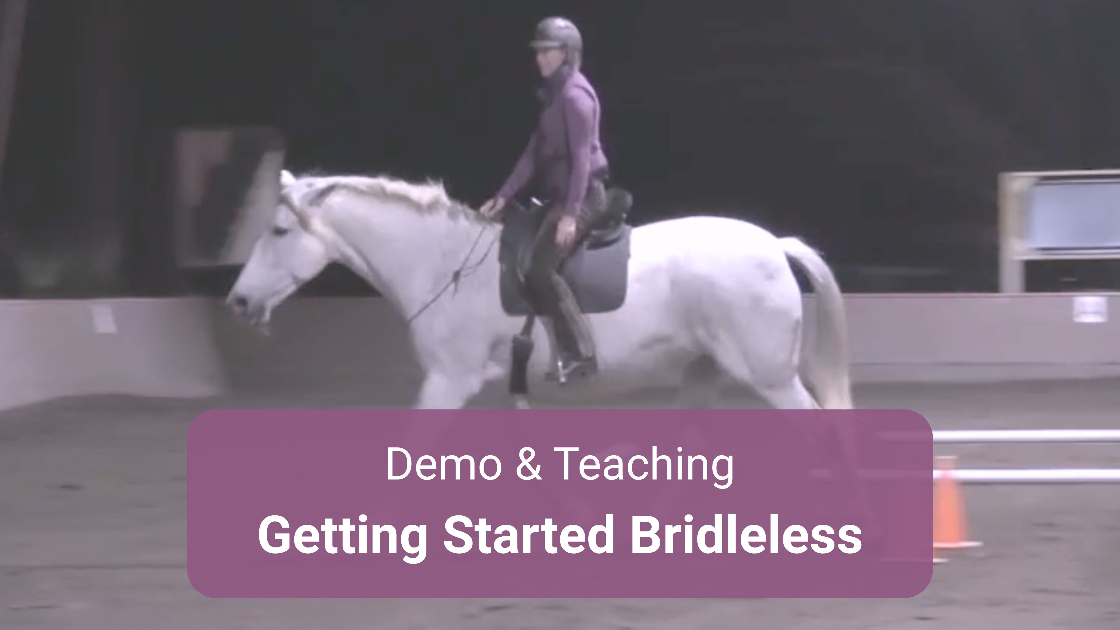 Bridleless Demo Parts 1 & 2