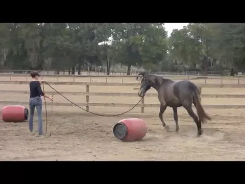 Creating Lightness On Circles From Th...