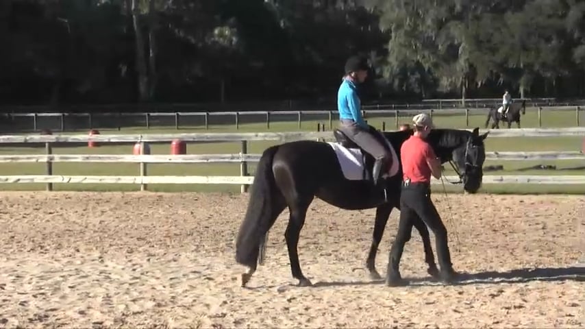 Helping The Rider's Contact & Connection From The Ground - Dec 2015