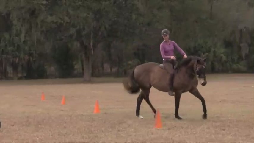 Exercises for Better Turning 2 Variations - Feb 2021