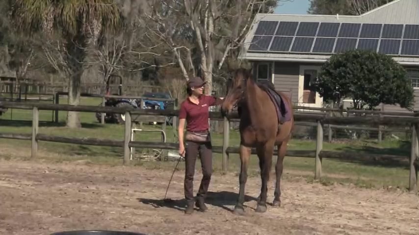 Riding Preparation - Teo - Mar 2021