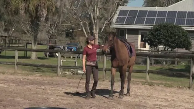 Riding Preparation - Teo - Mar 2021