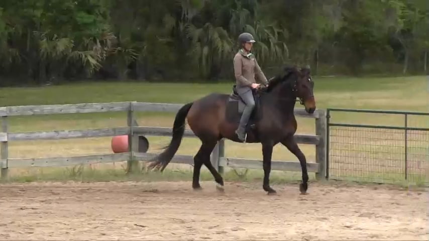Collectibility with Hot Shot In One Ride - Apr 2018