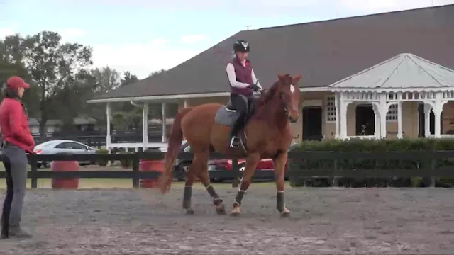 Improving the Canter by Improving Yie...