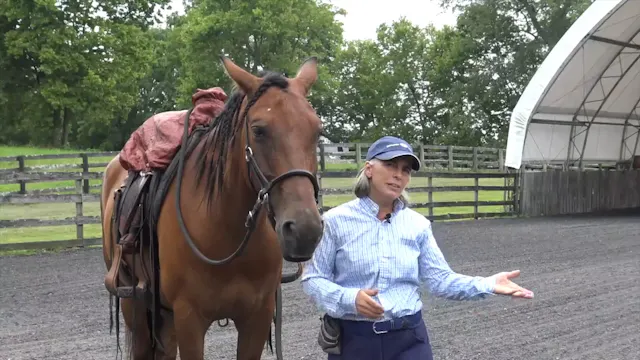 Lead By Example with Shelby Hume - No...