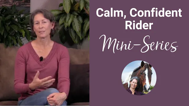Calm Confident Mini-Series