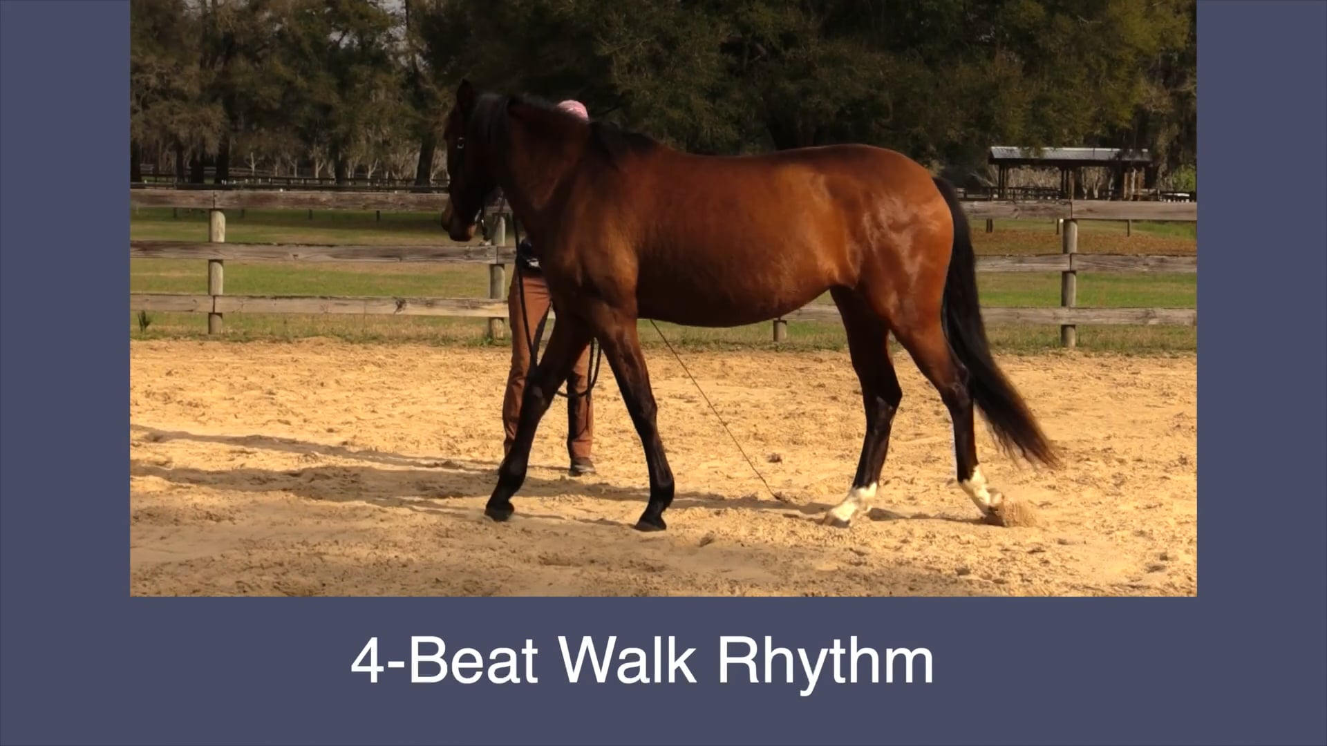 Keeping Rhythm In Walk Yields On Line - March 2023