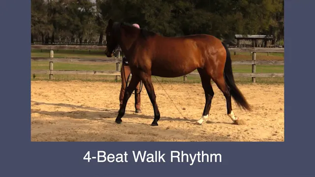 Keeping Rhythm In Walk Yields On Line...