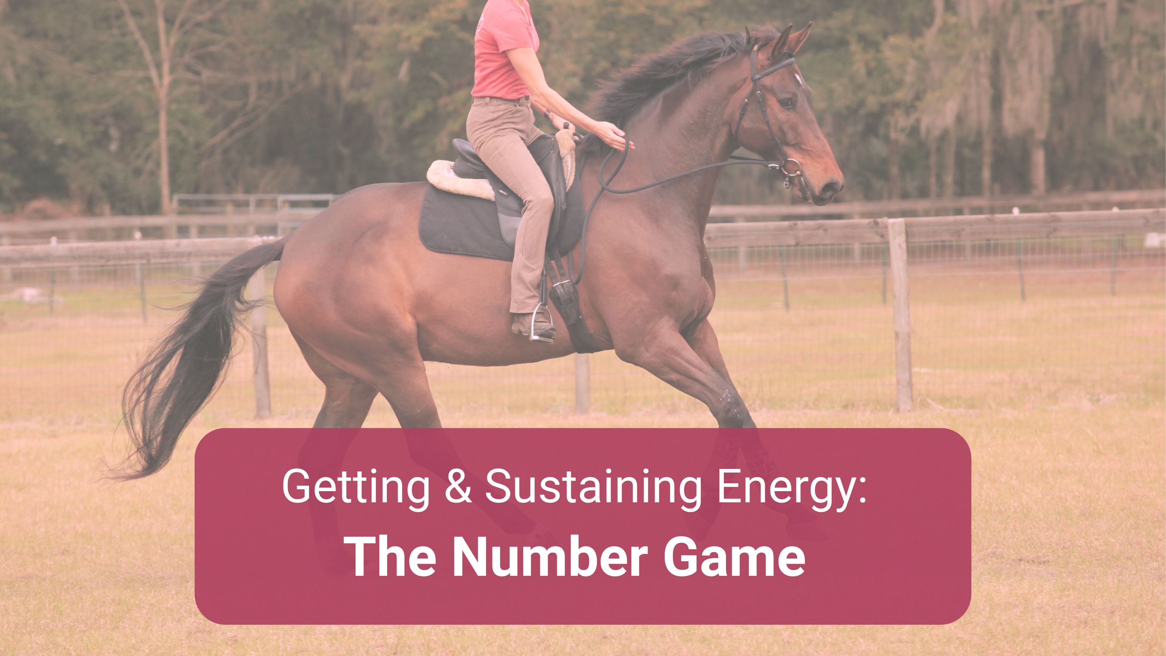 The Energy Number Game