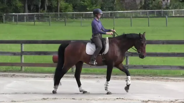 Dissolving Brace - Victor Riding - Au...