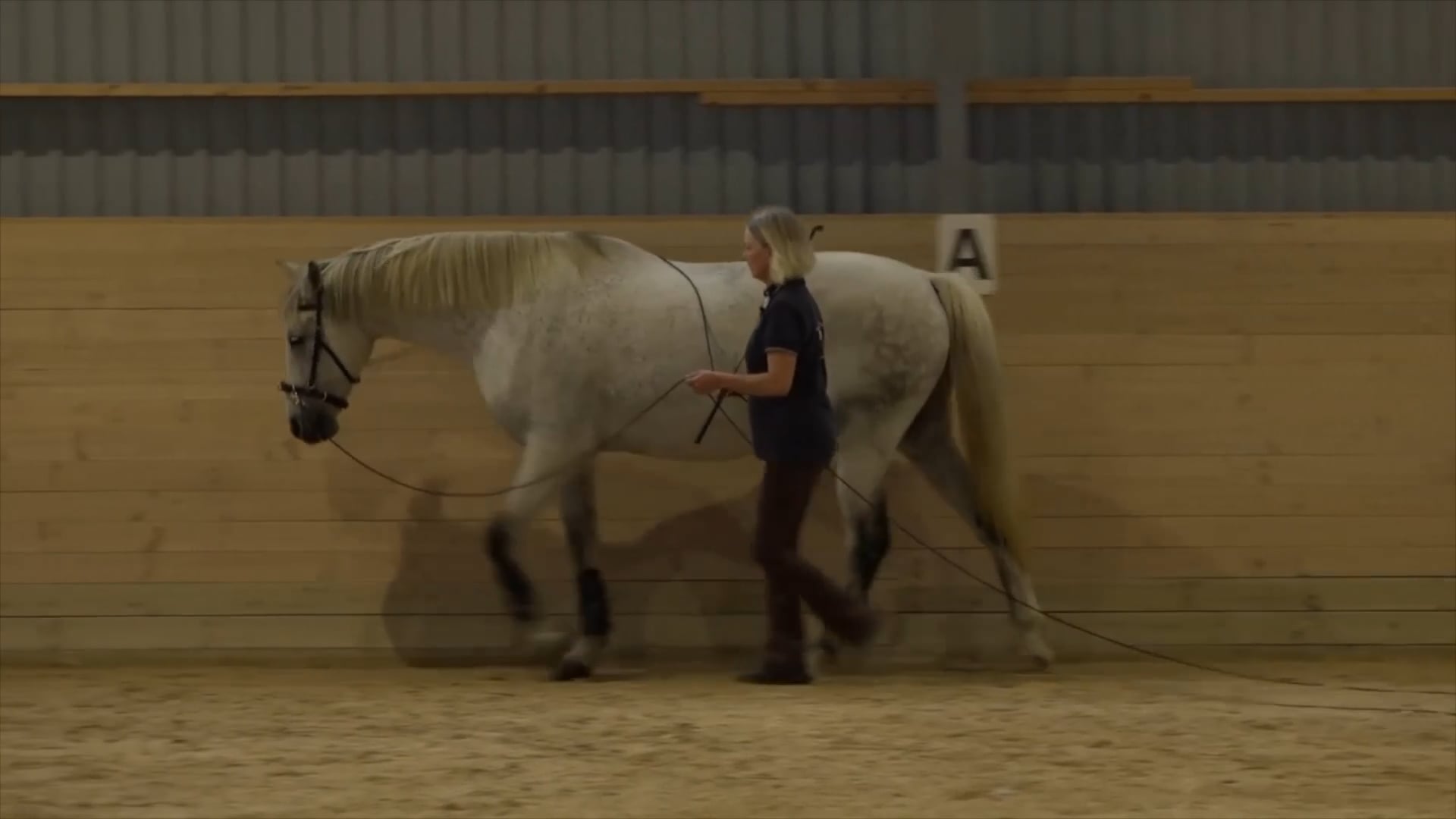 Long Lining Mini Masterclass with Ewa Angantyr - April 2023