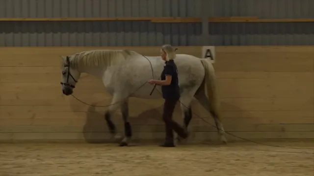 Long Lining Mini Masterclass with Ewa...