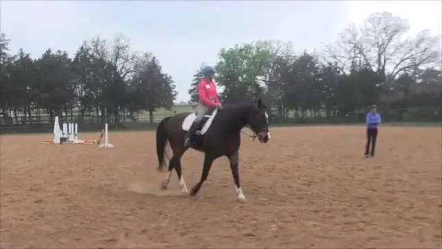 Sweet Spot with Linus - May 2014