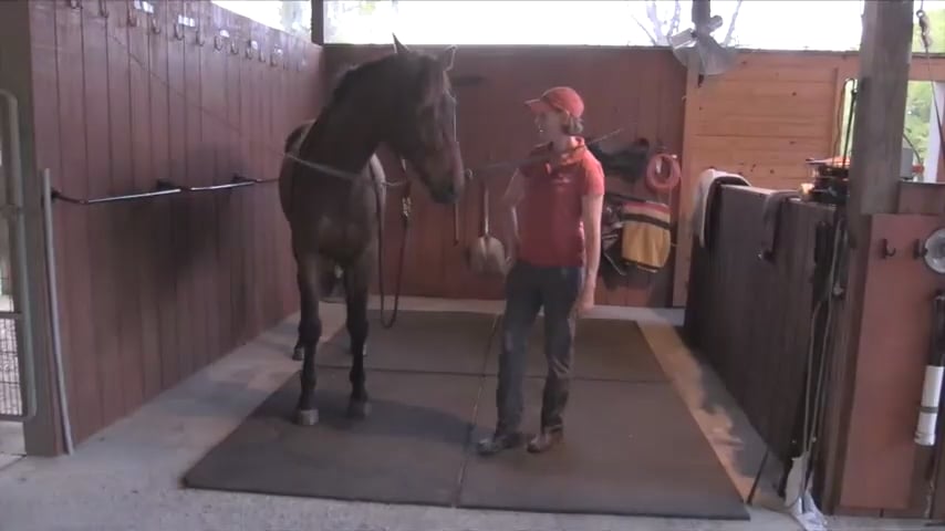 Creating Calm Self Carriage in Cross Ties - Apr 2020