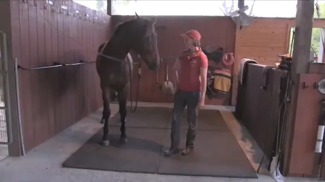 Creating Calm Self Carriage in Cross ...