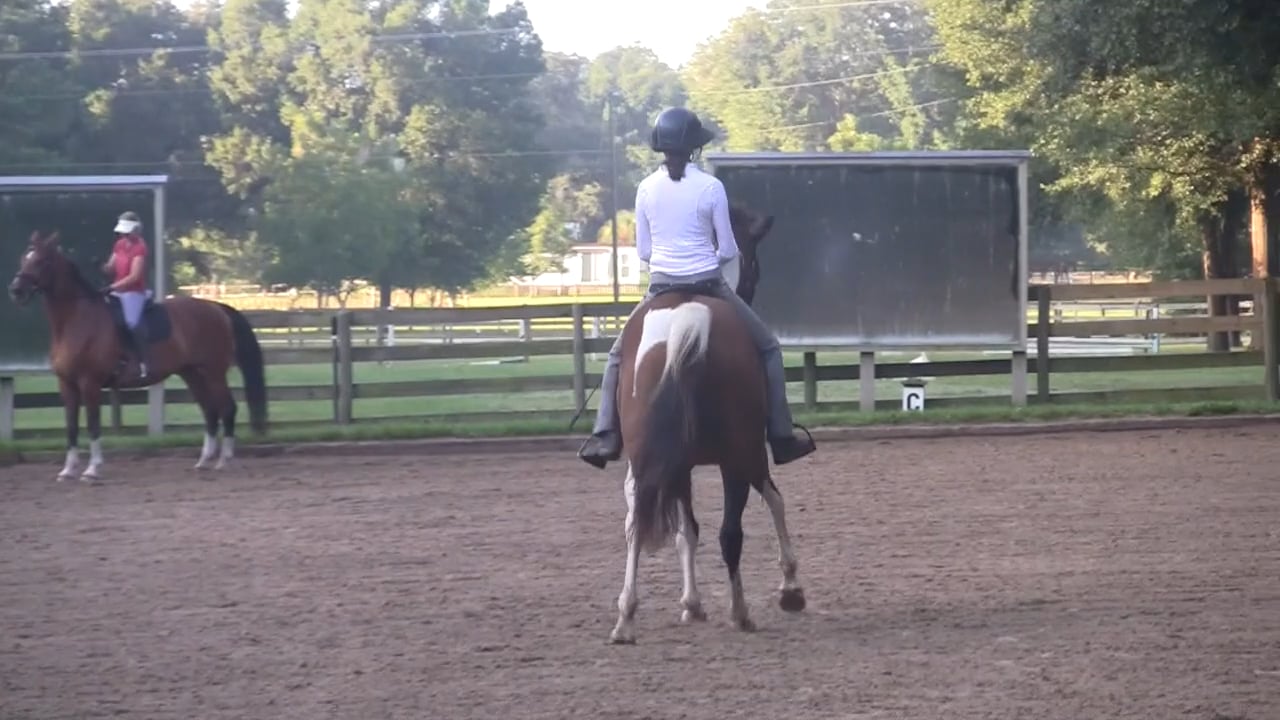 How Shoulder In & Half Pass Fit Together - Sept 2013