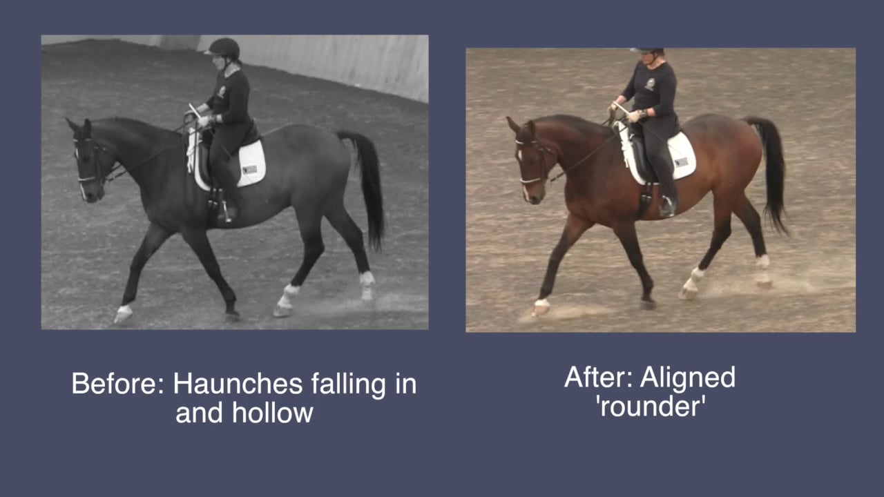 Improving Neutral in Lateral Work - Dawn - Oct 2013