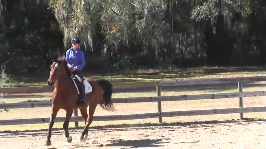Basic Balance at the Canter - Mar 2015