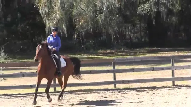 Basic Balance at the Canter - Mar 2015
