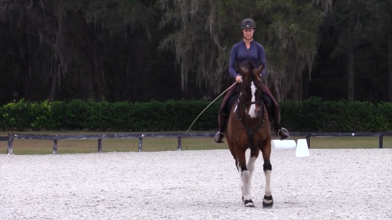 Ovation's Lesson with Luis Lucio Karen's Comments - Feb 2022