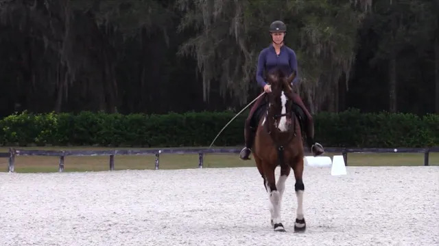 Ovation's Lesson with Luis Lucio Kare...