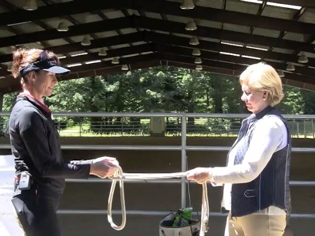 Dissolving Brace In The Reins - Oct 2011