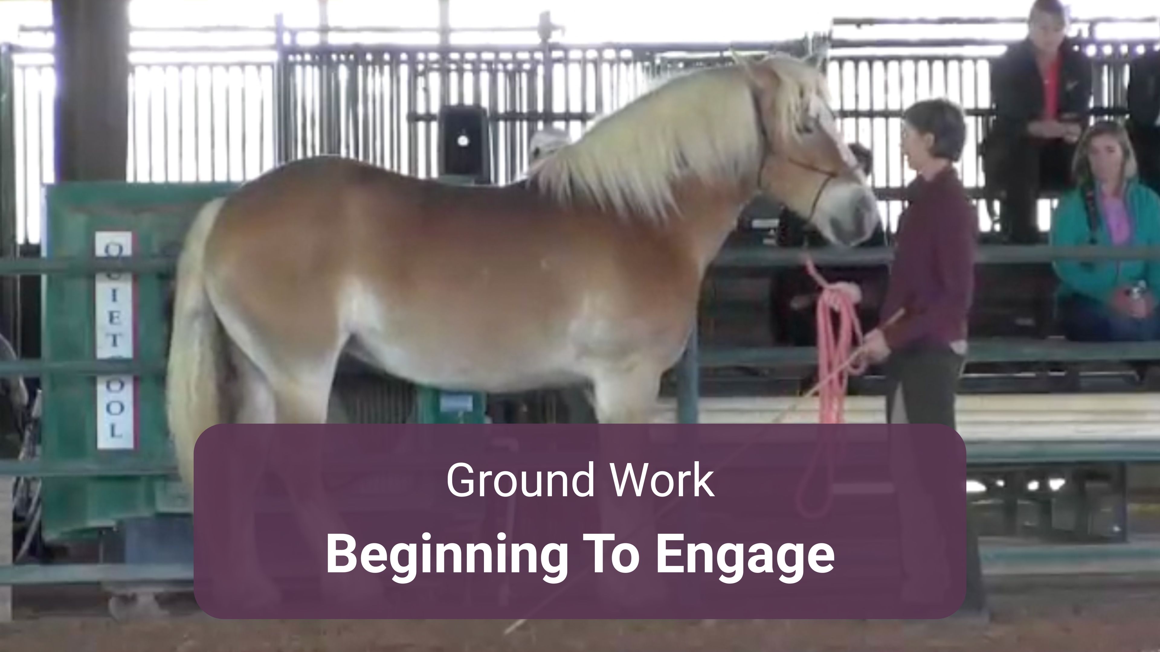 Beginning To Engage On Ground 3-Part