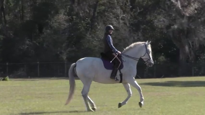 Lengthening & Shortening The Stride with Natilla - May 2020