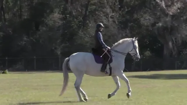 Lengthening & Shortening The Stride w...