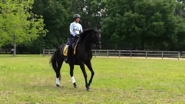 Developing Medium Canter - June 2024