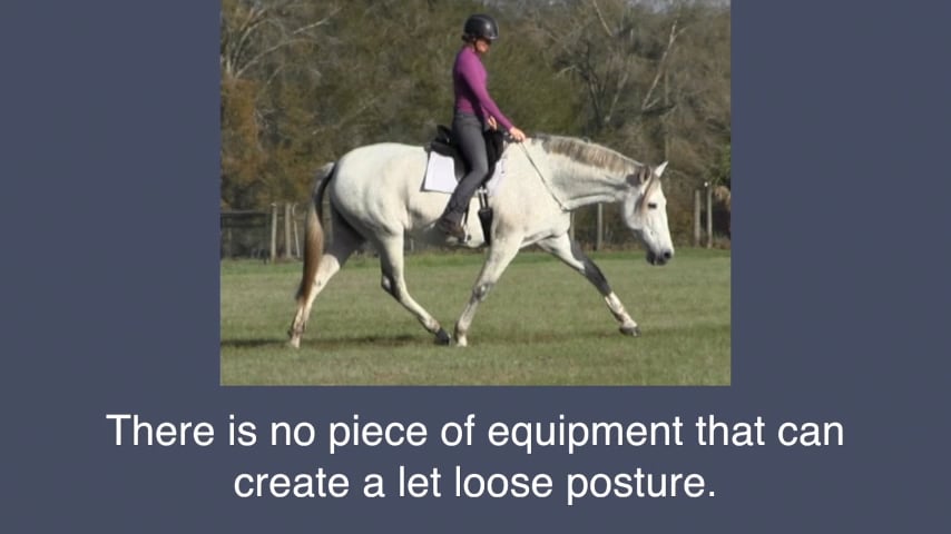 Stretching Bridleless - Mar 2018