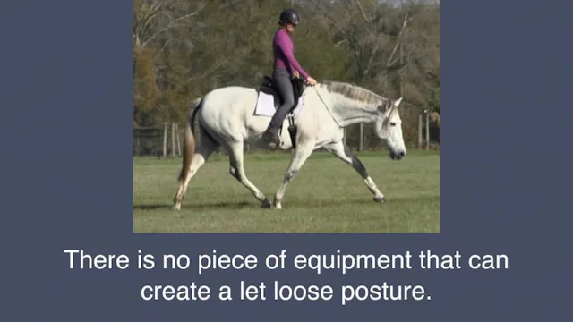 Stretching Bridleless - Mar 2018