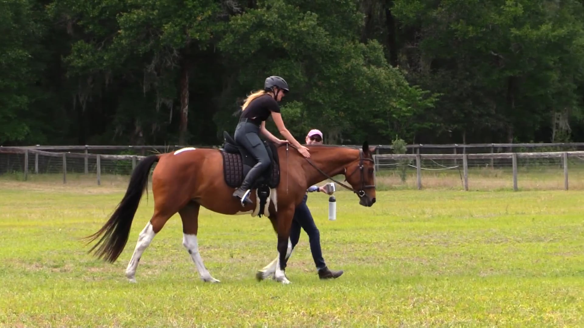 Improving The Relationship With The Reins - Aug 2023