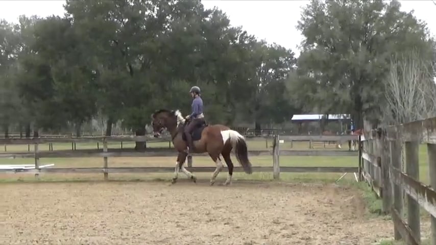 Riding Deeper Corners - Mar 2021