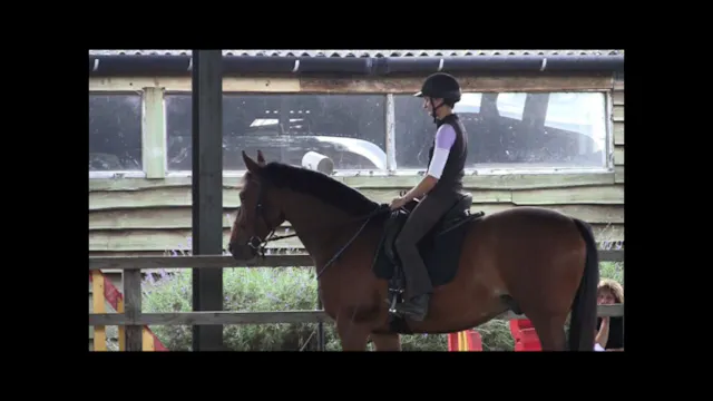 Connection with Reins: Developing Har...