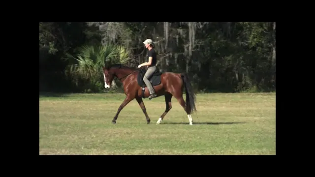 Canter Pirrouettes Warm Up - Jan 2012