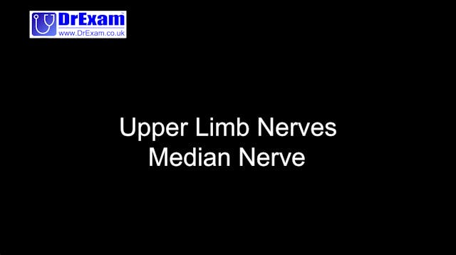 Upper Limb - Median Nerve