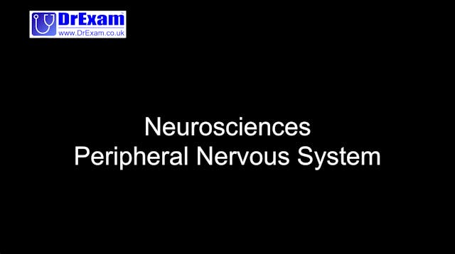 Neurosciences - Peripheral Nervous System