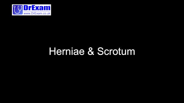 Herniae & Scrotum