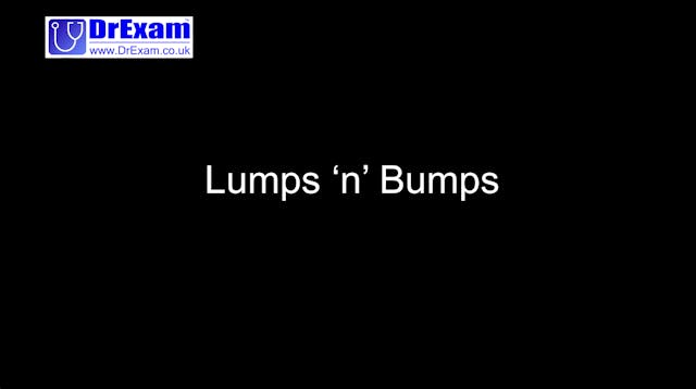 Lumps 'n' Bumps