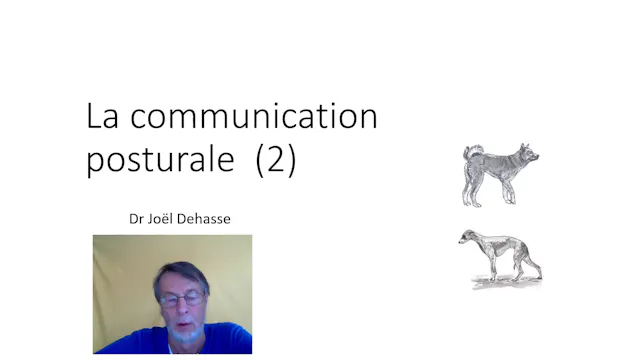 11 Com.posturale (vid) 02