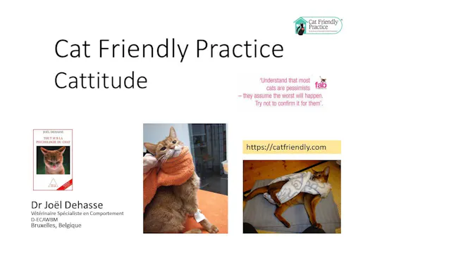 52 cat friendly practice