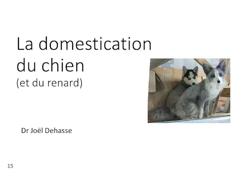 FCCC-3.2-Domestication du chien