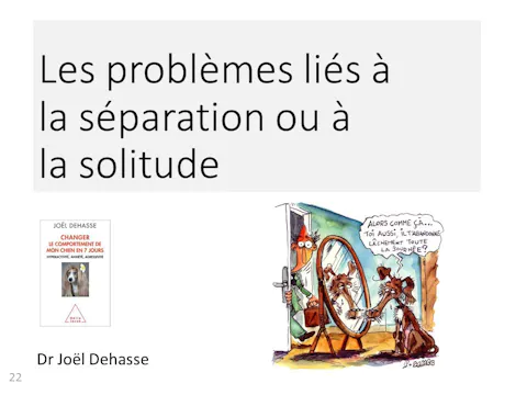 FCCC-3.6-Les problèmes liés à la séparation ou à la solitude