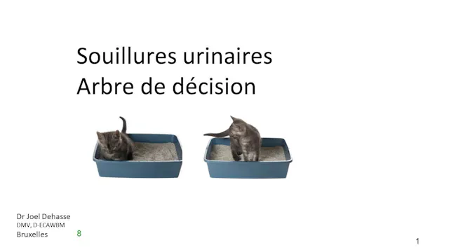 48 souillures urinaires add